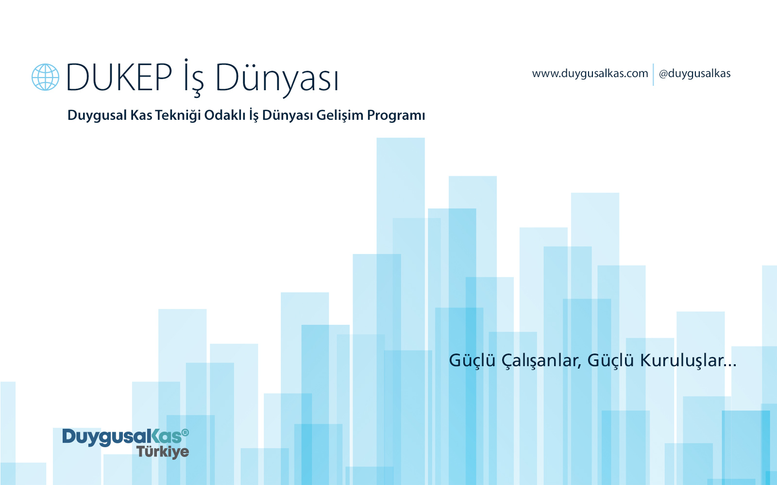 Duygusal Kas Alanları